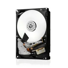 Hard Drive Western Digital ULTRASTAR 0F48052 3,5