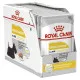 Comida húmeda Royal Canin Dermacomfort Carne 12 x 85 g