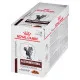 Comida para gato Royal Canin Gastrointestinal Moderate Calorie 85 g