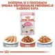 Comida para gato Royal Canin Kitten Jelly Pollo 85 g