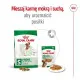 Pienso Royal Canin Adult Mini S Aves 8 kg