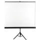 Projection Screen Avtek Tripod Standard 200