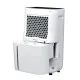 Dehumidifier Whirlpool Corporation DE20W5252