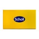 Chanclas Scholl PRS014BEZ46