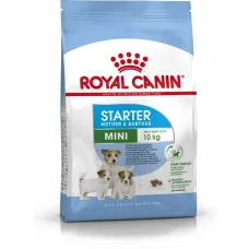 Pienso Royal Canin Starter Mother And Babydog Adulto Pollo Aves 1 kg