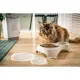 Dog Feeder Rotho Grey Plastic
