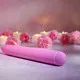 Bullet Vibrator Evolved Pink