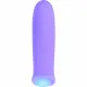 Bullet Vibrator Evolved Purple