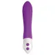 Bullet Vibrator Evolved Purple