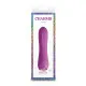 Mini Vibrador NS Novelties Charms Fern Ruby Rojo