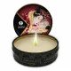 Massage Candle Shunga 9046084 (1 Unit)