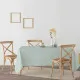 Mantel antimanchas Belum 0220-55 100 x 140 cm