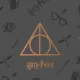 Colcha Harry Potter Deathly Hallows Multicolor 250 x 270 cm 250 x 3 x 270 cm Cama 150 cm