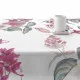 Tablecloth Belum 0120-246 Multicolour 100 x 150 cm