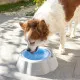 Bebedero Refrescante para Mascotas Freshty InnovaGoods