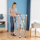 Folding Vertical Clothes Dryer with Wheels Dreeyl InnovaGoods 38 Bars