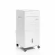 Portable Multifunction Evaporative Air Cooler Airvecove InnovaGoods   65 W White 5 L (Refurbished A)
