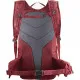 Hiking Backpack Salomon Trailblazer 20 Polyester